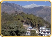 Dharamshala, Himachal Pradesh Tours & Travel